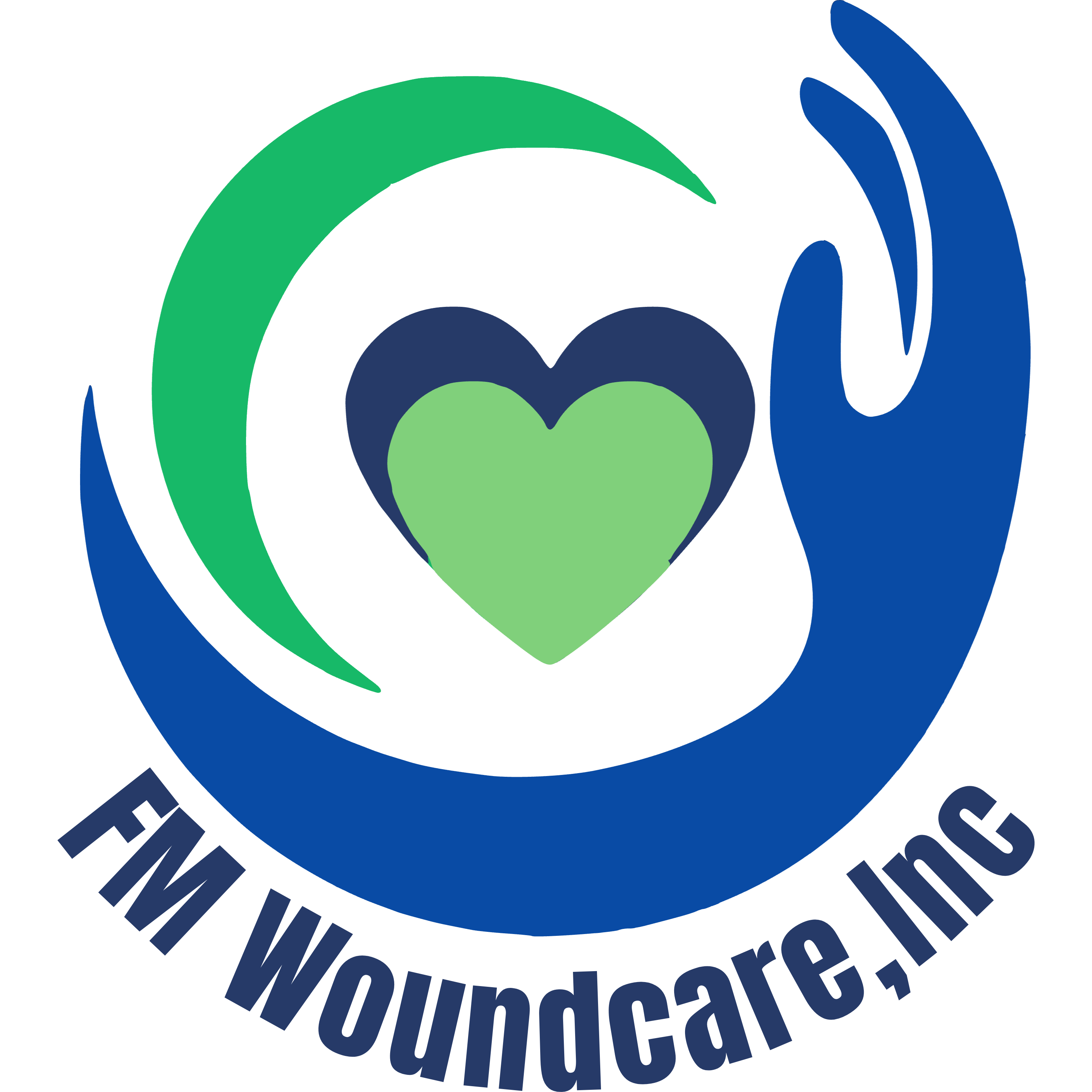FM Woundcare logo